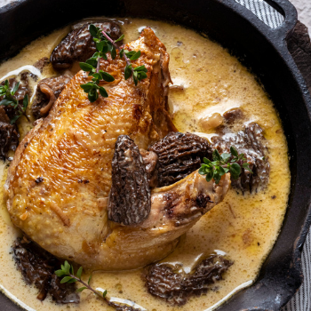 11 Déc : Suprêmes de Poulet aux Morilles, cromesquis de riz Comté et croûte d’épices de Noël